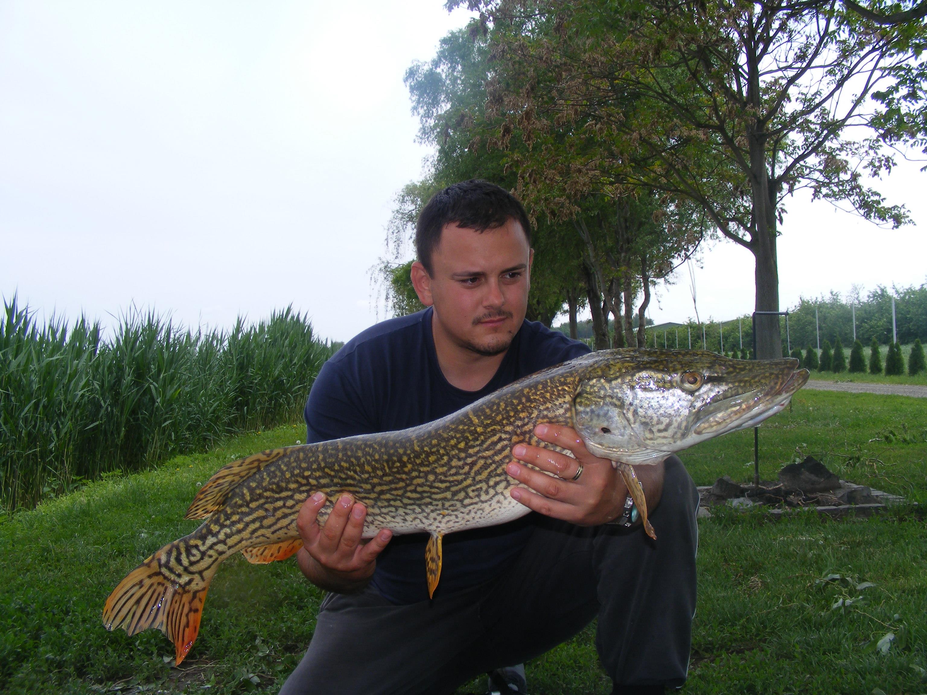 Nagykallo,13-17.05.2012  - DSCF5569.JPG